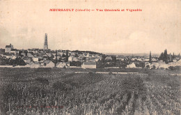 21-MEURSAULT-N°T5220-H/0061 - Meursault