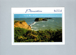 Delcampe - Pénestin (56) : La Pointe Du Bile - Pénestin