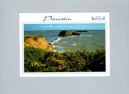 Pénestin (56) : La Pointe Du Bile - Pénestin
