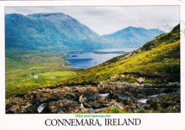 Eire - Ireland - Connemara - Wild And Spectacular - Kerry