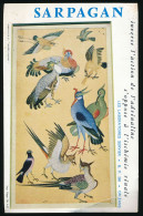 Buvard 13.5 X 20.9 Laboratoires Pharmaceutiques SERVIER Orléans Sarpagan Bc 4-57 Musée Guimet Oiseaux - Produits Pharmaceutiques