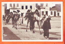 29833 / ⭐ ♥️ Ethnic ASSIOUT Haute-Egypte Mariage Arabe Dromadaires Mariés 1900s Photo-Bromure S.I.P REISER Serie A - Assiout