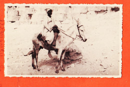 29581 / ⭐ ◉ GIZEH Egypt Egypte (4) Egyptien Avec Bourricot Pied Pyramides 1930s Photo-Bromure Cartolina Postale - Gizeh