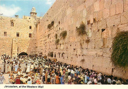 Israel - Jérusalem - Wailing Wall - Mur Des Lamentations - CPM - Carte Neuve - Voir Scans Recto-Verso - Israele