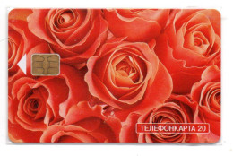 Rose Roses Fleurs Fleur Flower Télécarte Puce Russie Phonecard ( K 51) - Russland