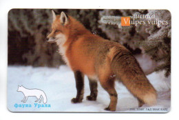 Renard Vulpes Animal  Télécarte Puce Russie Phonecard ( K 53) - Rusia