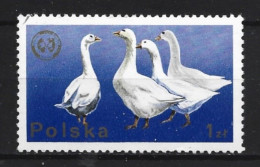 Polen 1975 Fauna Y.T. 2218 (0) - Used Stamps