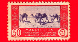 MAROCCO - Usato - Marruecos - 1951 - Dromedario (Camelus Dromedarius) Carovana - 50 - Spanisch-Marokko