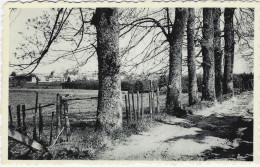 GOUVY-BEHO : Une Jolie Promenade - Gouvy