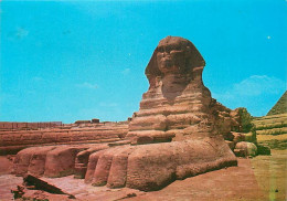 Egypte - Gizeh - Giza - The Famous Sphinx Of Giza - Voir Timbre - CPM - Voir Scans Recto-Verso - Guiza