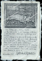 Co59 Cartolina Commemorativa Comitato Veneziano  1915 D'annunzio Vedi Retro - Autres & Non Classés