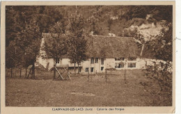 CLAIRVAUX LES LACS - COLONIE DES FORGES - Clairvaux Les Lacs