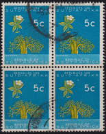 1961 Südafrika (1961-...) ° Mi:ZA 304, Sn:ZA 273, Yt:ZA 269, Sg:ZA 215, SAC:ZA 214, Baobab (Adansonia Digitata) - Used Stamps