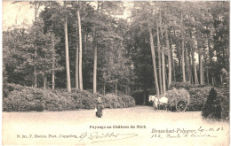 CPA Carte Postale Belgique Brasschaet Polygone Paysage Au Château Du Mick 1902  VM78677 - Brasschaat