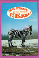 ANIMAUX - Animal Un Zebre Gumour Sans Pyjama Je Suis Encore Plus Jolie Neige Hiver Glace - Cebras