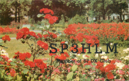 QSL Card POLAND Polish Radio Amateur Station SP3HLM Y03CD Bes - Amateurfunk