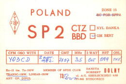 QSL Card POLAND Polish Radio Amateur Station SP2BBD Y03CD Bos - Amateurfunk