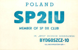 QSL Card POLAND Polish Radio Amateur Station SP2IU Y03CD Zbyck - Amateurfunk