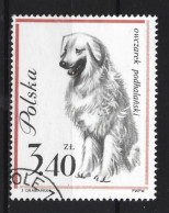 Polen 1963 Dog Y.T. 1239 (0) - Oblitérés