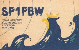 QSL Card POLAND Polish Radio Amateur Station SP1PBW Y03CD Jurch - Amateurfunk