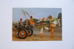 Donkey-cart   -  PAKISTAN - Pakistán