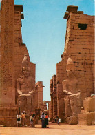 Egypte - Louxor - Luxor - The Temple Of Luxor - Voir Timbre - CPM - Voir Scans Recto-Verso - Luxor