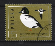 Polen 1985 Bird Y.T. 2810 (0) - Gebruikt