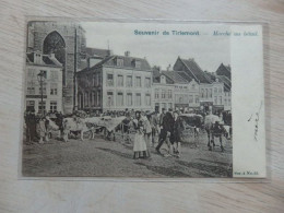 Tirlemont / Tienen - Marché Au Bétail - Couleur - Série: 4 - N°53 - Vanderauwera - Circulé:1903 - 2 Scans - Tienen