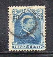 650 490 - NEWFOUNDLAND TERRANOVA 1880, Yvert N. 37  Usato (M2200) . - 1865-1902