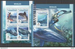 Ls740 2017 Solomon Islands Whales Marine Life Fauna #4446-50 1Kb+1Bl Mnh - Marine Life