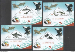 J408 2019 Dolphins Marine Life Charles Darwin Publication 4Bl Mnh - Marine Life