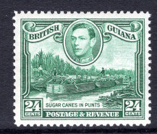 British Guiana 1938-52 KGVI Pictorials - 24c Sugar Cane In Punts - Wmk. Upright HM (SG 312) - Guayana Británica (...-1966)