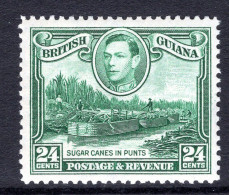 British Guiana 1938-52 KGVI Pictorials - 24c Sugar Cane In Punts - Wmk. Upright HM (SG 312) - Guyane Britannique (...-1966)