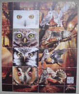 Polen   Eulen    2017     ** - Owls