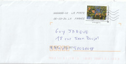 France 2024 : Montimbreamoi Lettre Verte Abricotier - Storia Postale