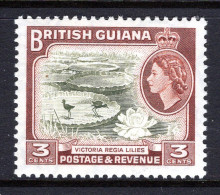 British Guiana 1954-63 QEII Pictorials - 3c Water Lilies MNH (SG 333) - Guyane Britannique (...-1966)
