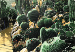 Fleurs - Plantes - Cactus - Principauté De Monaco - Plantes Exotiques - CPM - Voir Scans Recto-Verso - Cactusses