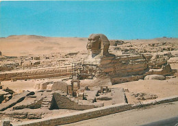 Egypte - Gizeh - Giza - The Great Sphinx - Carte Neuve - CPM - Voir Scans Recto-Verso - Guiza