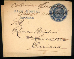 ARGENTINA. C.1902 Issue. Colonia Benitez/Chaco Austral. Local Stat.envelope Usage Mns.cancel. Very Rare - Autres & Non Classés