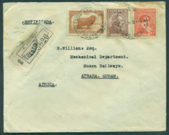 Argentina - XX. 1929 (16 Ene). Bs As - Sudan / Atbara (12 Feb). Reg Dkd Env. Via Shellal Haifa (11 Feb). Alexandria. Xtr - Autres & Non Classés