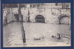 CPA 1 Euro [75] Paris > Inondations De 1910 Prix De Départ 1 Euro Non Circulée - Inondations De 1910