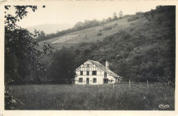 CPSM Pyrénées-Atlantiques > Mauleon Licharre MAULE - EUSKADIKO ETCHE BAT - Bords Dentelés - Rebique Un Peu - Mauleon Licharre