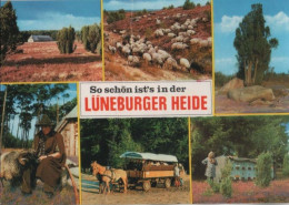 39223 - Lüneburger Heide - Mit 6 Bildern - 1987 - Lüneburger Heide