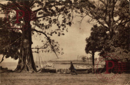 GUINEA. GUINEE FRANÇAISE. CONAKRY. CORNICHE ET BATEAUX DE PECHE. - Guinée Française