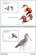 Fauna. Uccelli 1996. - Belarus