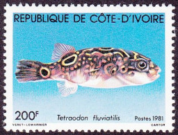 T.-P. Gommé Dentelé Neuf** - Faune Marine Poissons Tetraodon Fluviatilis Poisson Gonfleur - N° 568 (Yvert) - RCI 1981 - Costa D'Avorio (1960-...)