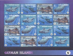 CAYMAN 2003 - WWF - Baleines - Feuillet - Ballenas