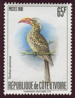 Timbre-poste Gommé Dentelé Neuf** - Oiseaux Et échassiers Calao Pygmée (Tockus Camurus) - N° 556B (Yvert) - RCI 1980 - Costa D'Avorio (1960-...)