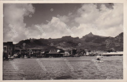 Maurice Mauritius Real Photo  Montagnes De Port Louis   1961 Non Timbrée Photo Jean Louis Curepipe - Maurice