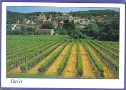 Carte Postale 83. Carces  Les Vignes Très Beau Plan - Carces